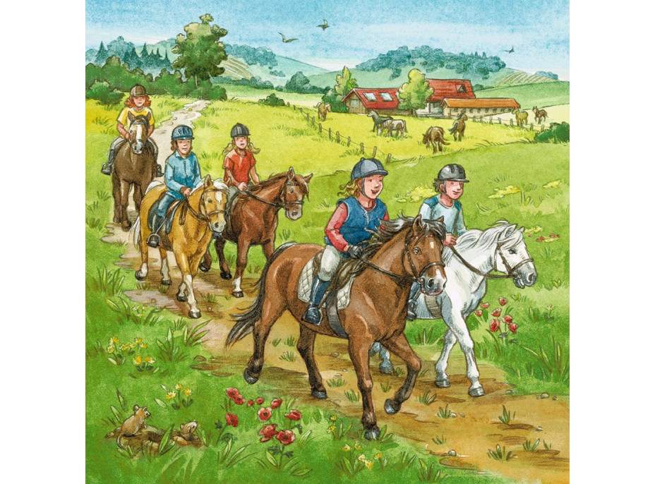 RAVENSBURGER Puzzle Den u koní 3x49 dílků