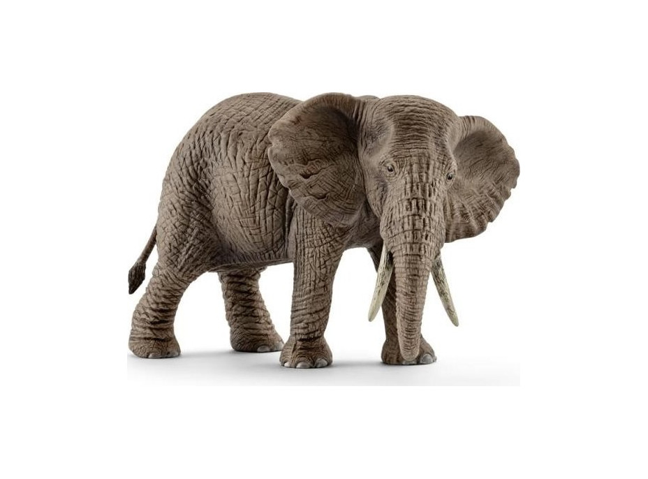 SCHLEICH Wild Life® 14761 Slon africký - samice