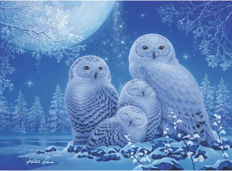 RAVENSBURGER Svítící puzzle Sovy 500 dílků