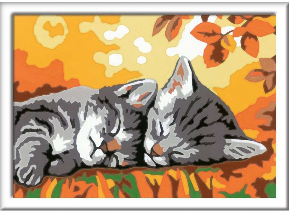 RAVENSBURGER CreArt Malování podle čísel: Podzimní koťata 18x13cm