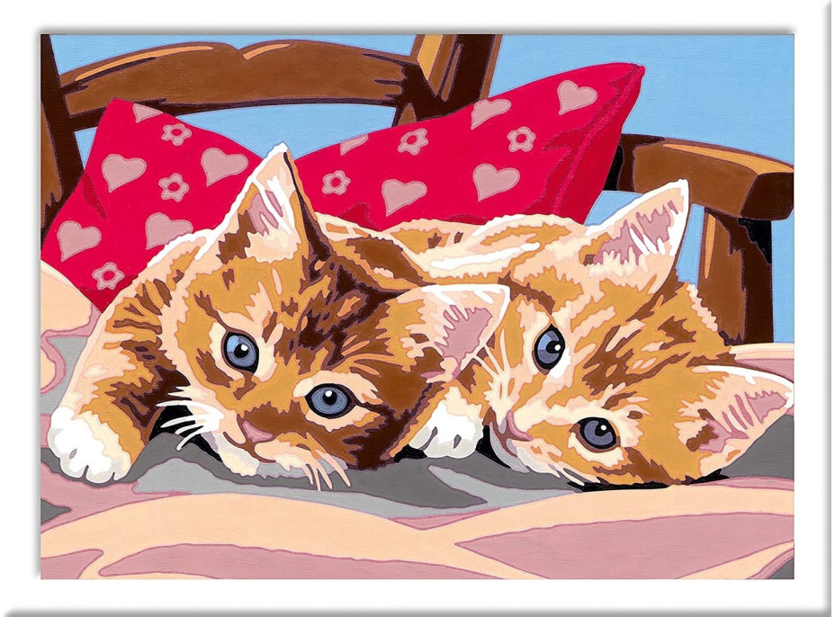 RAVENSBURGER CreArt Malování podle čísel: Dvě mazlivá koťata 24x18cm
