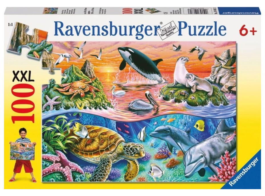 RAVENSBURGER Puzzle Nádherný oceán XXL 100 dílků