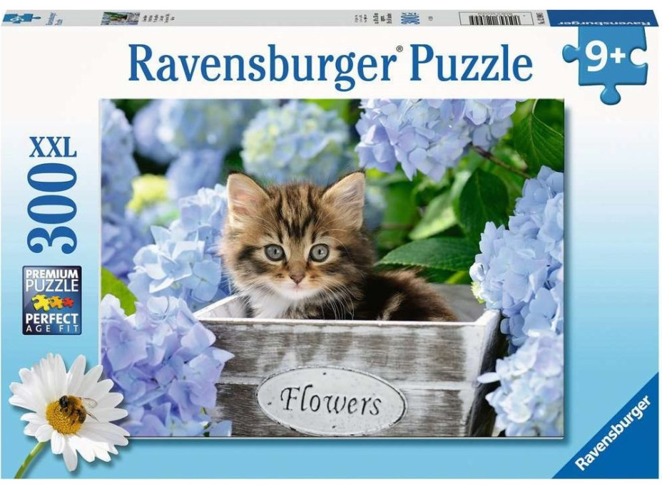 RAVENSBURGER Puzzle Malé kotě XXL 300 dílků