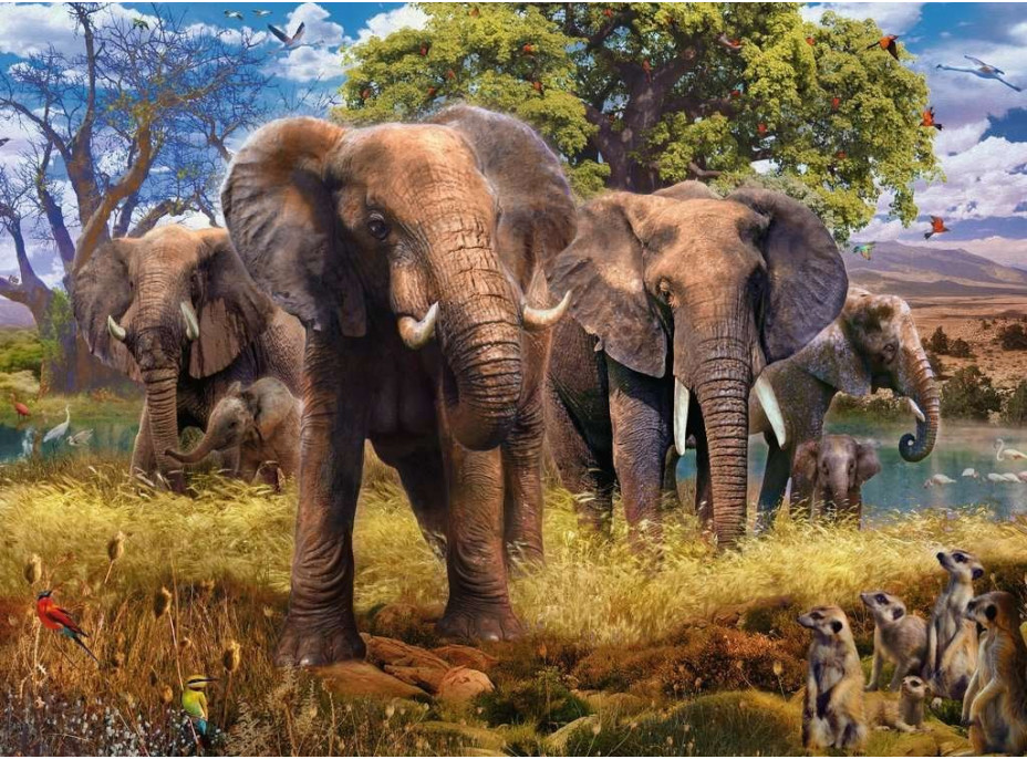RAVENSBURGER Puzzle Stádo slonů 500 dílků