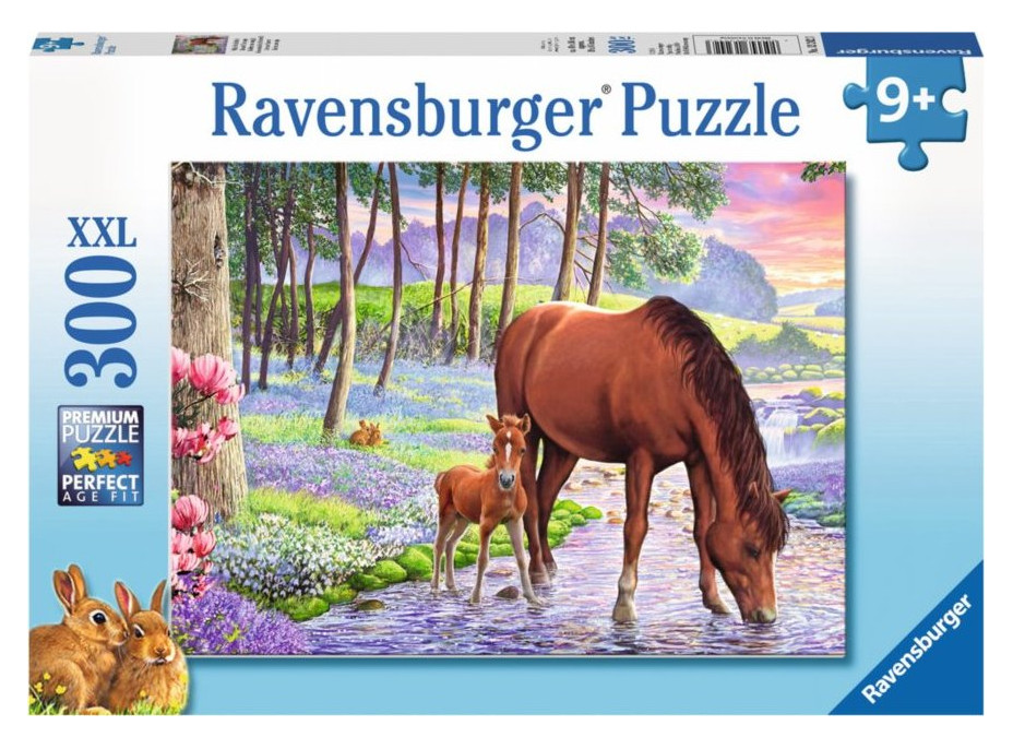 RAVENSBURGER Puzzle Klidný západ slunce XXL 300 dílků