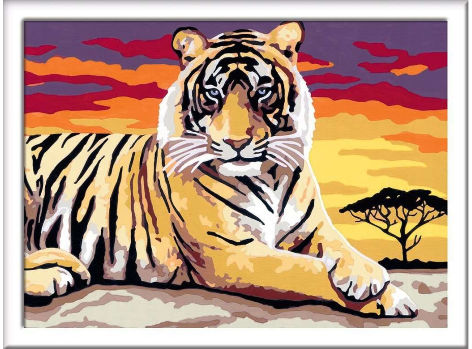 RAVENSBURGER CreArt Malování podle čísel: Majestátní tygr 24x18cm