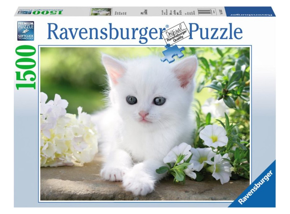 RAVENSBURGER Puzzle Bílé kotě 1500 dílků