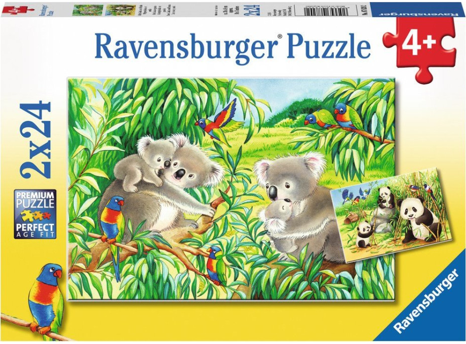 RAVENSBURGER Puzzle Koaly a pandy 2x24 dílků