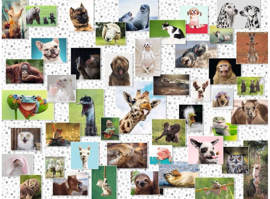 RAVENSBURGER Puzzle Koláž se zvířecími ksichtíky 1500 dílků