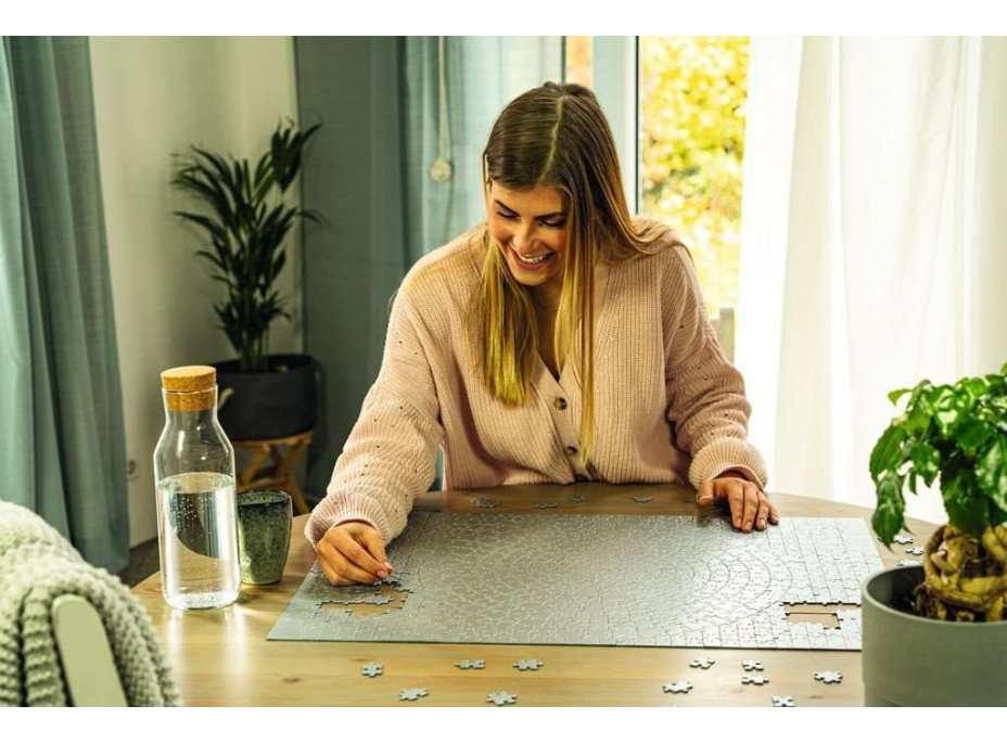 RAVENSBURGER Puzzle Krypt Silver 654 dílků