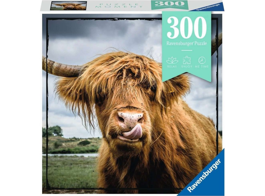 RAVENSBURGER Puzzle Moment: Highlandský skot 300 dílků