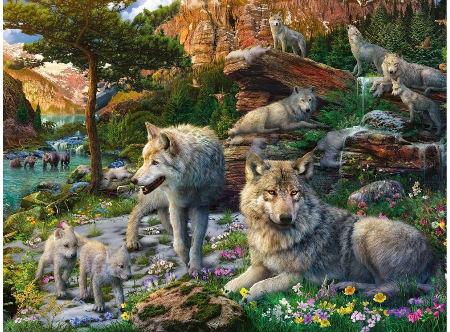 RAVENSBURGER Puzzle Vlci na jaře 1500 dílků