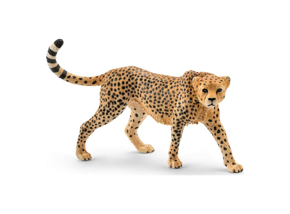 SCHLEICH Wild Life® 14746 Samice geparda