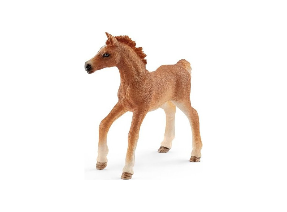 SCHLEICH Horse Club® 42361 Hříbě s dívkou a příslušenstvím