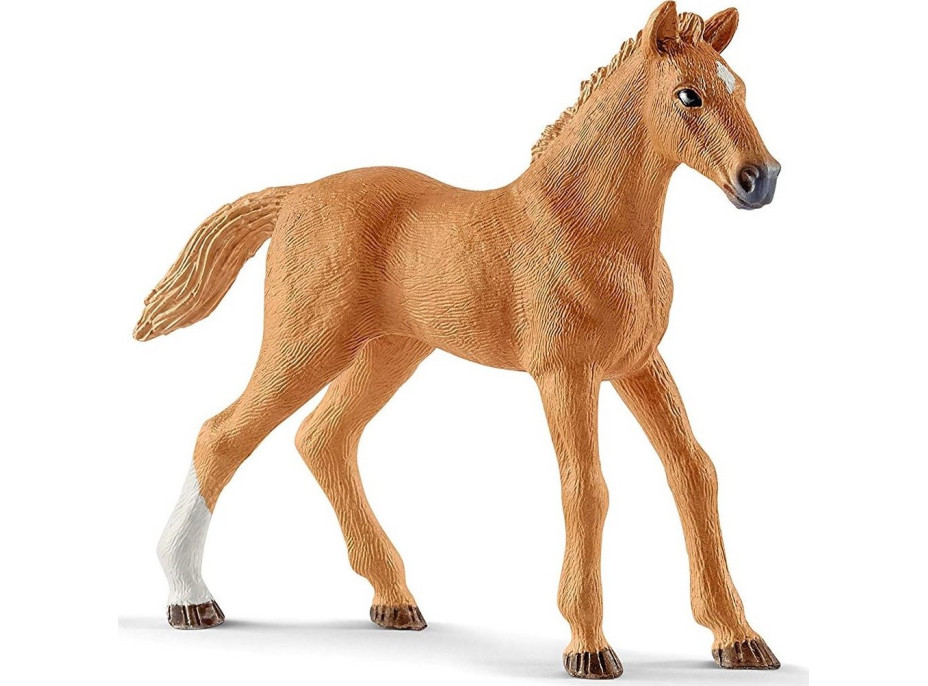 SCHLEICH horse Club® 42458 Hostující koně s fenkou Ruby