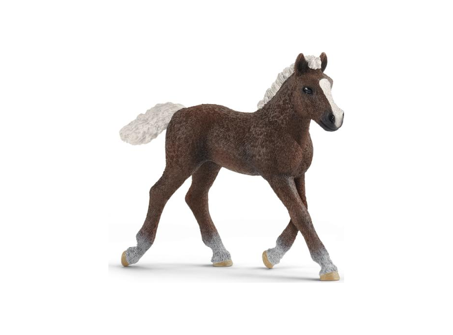 SCHLEICH Horse Club® 13899 Kůň Schwarzwaldský - hříbě