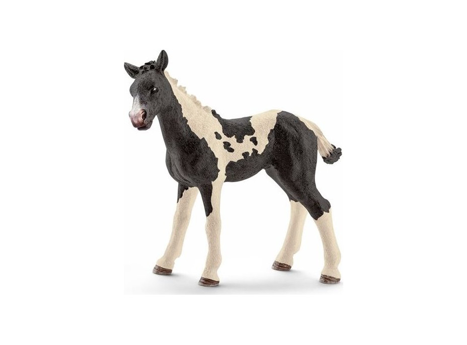 SCHLEICH Horse Club® 13803 Kůň Pinto - hříbě