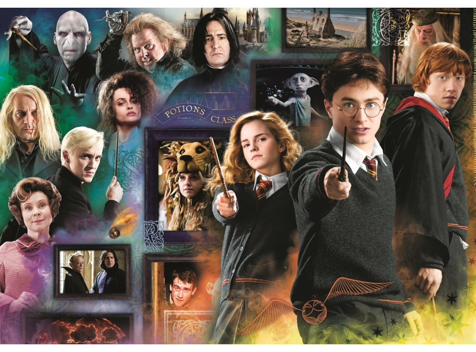 TREFL Puzzle Harry Potter: Kouzelnický svět 1000 dílků