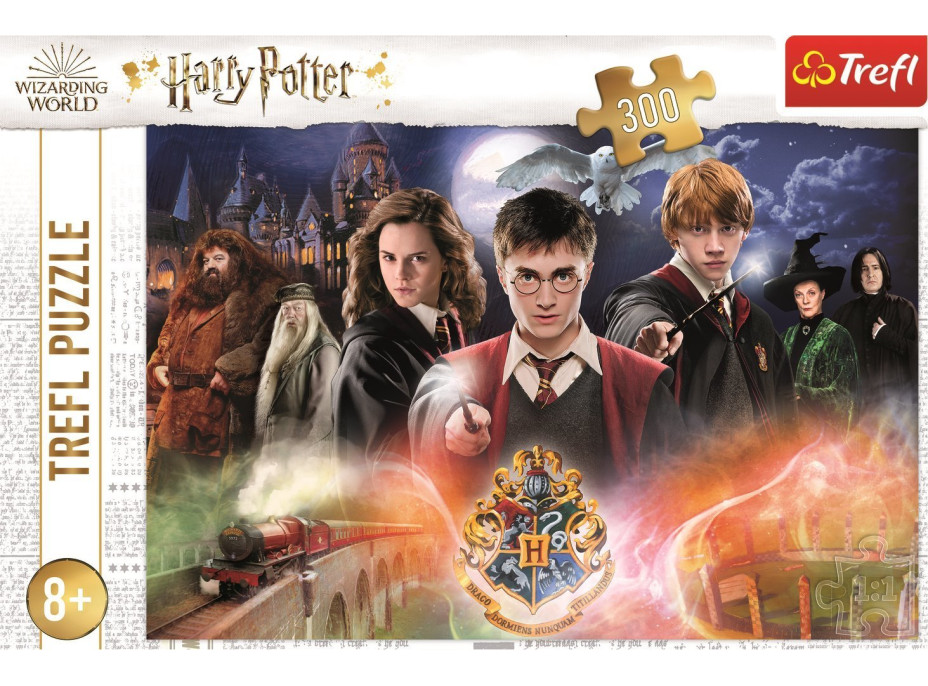 TREFL Puzzle Tajemný Harry Potter 300 dílků