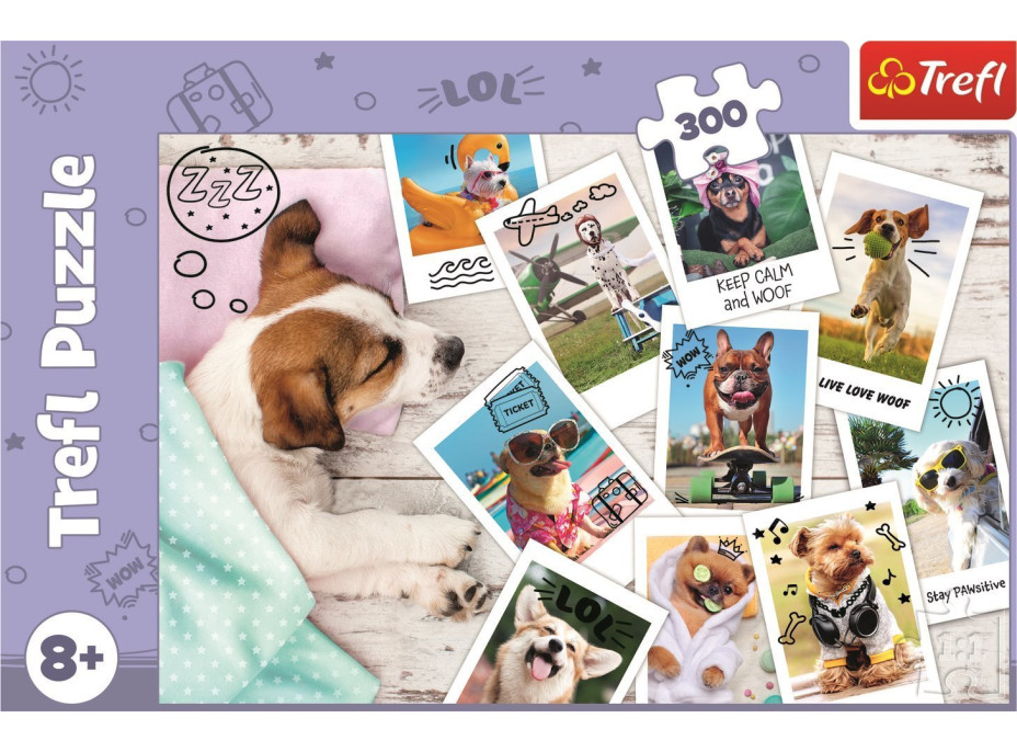 TREFL Puzzle Fotky z dovolené 300 dílků