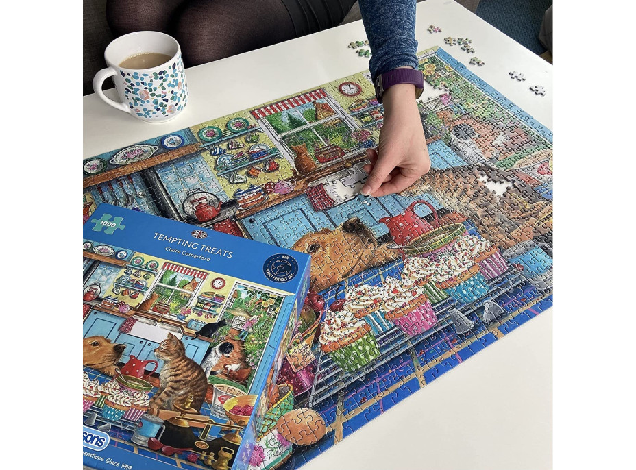GIBSONS Puzzle Lákavé dobroty 1000 dílků