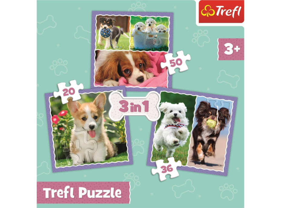 TREFL Puzzle Roztomilá štěňata 3v1 (20,36,50 dílků)