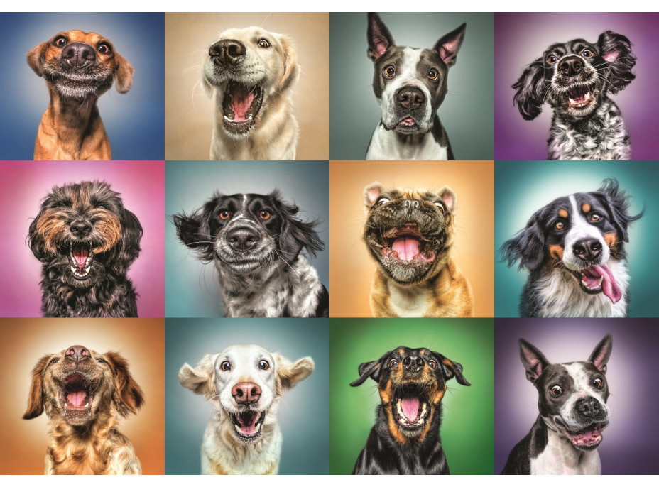 TREFL Puzzle Veselé psí portréty 1000 dílků