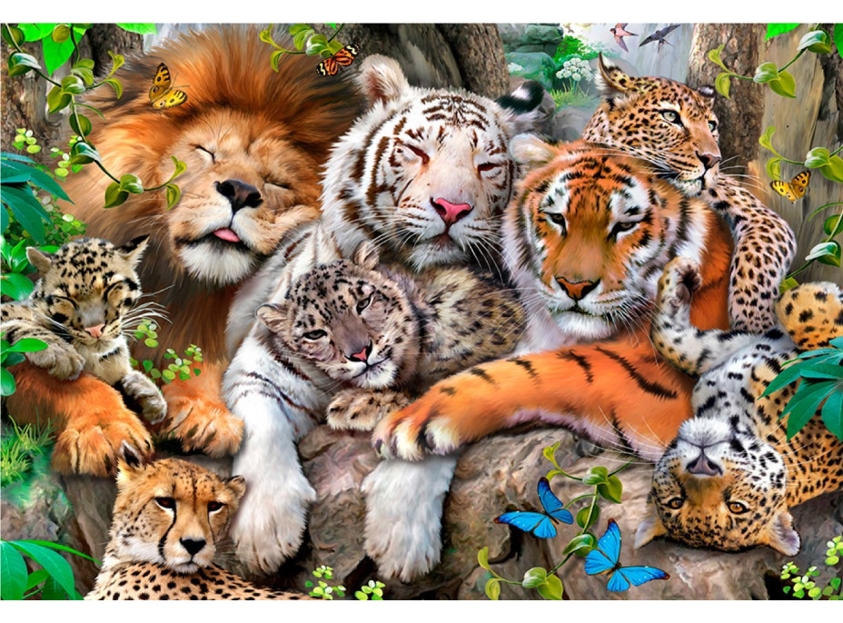 WOODEN CITY Dřevěné puzzle Čas na šlofíka 2v1, 300 dílků EKO