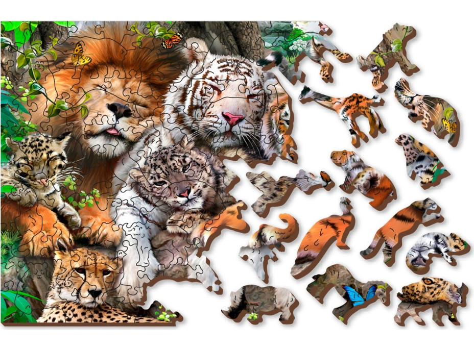 WOODEN CITY Dřevěné puzzle Čas na šlofíka 2v1, 300 dílků EKO