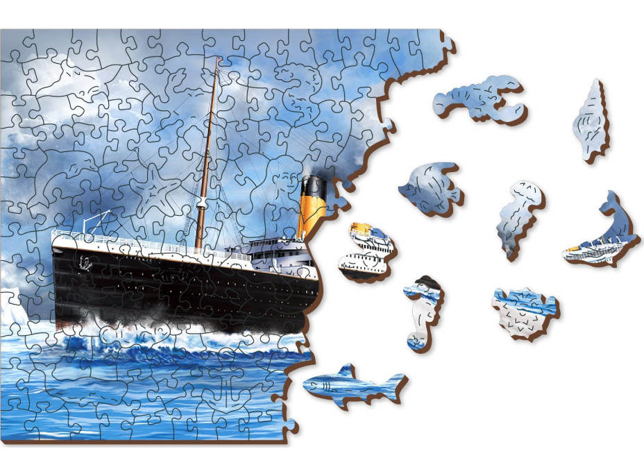 WOODEN CITY Dřevěné puzzle Titanic 2v1, 505 dílků EKO