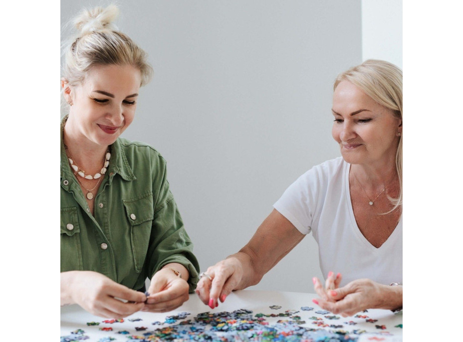 TREFL Puzzle Chata v horách 6000 dílků