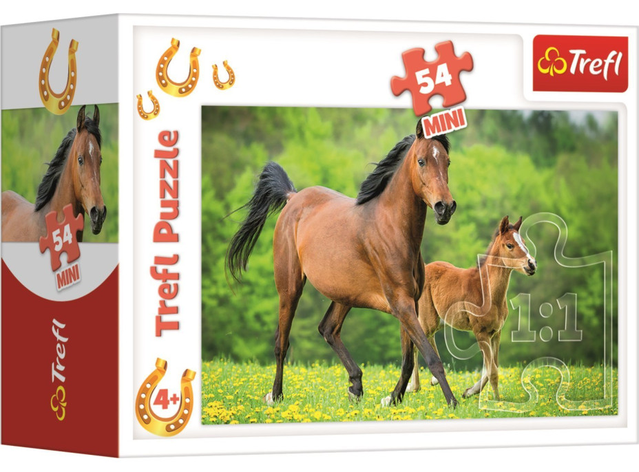 TREFL Displej Puzzle Svět koní 54 dílků (40 ks)