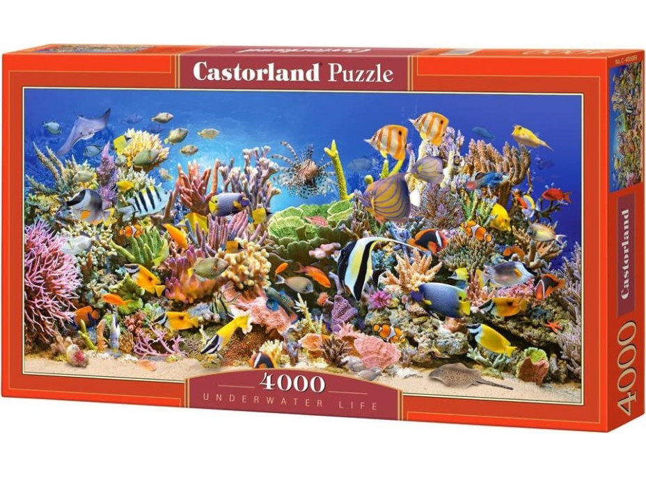 CASTORLAND Puzzle Podmořský život 4000 dílků