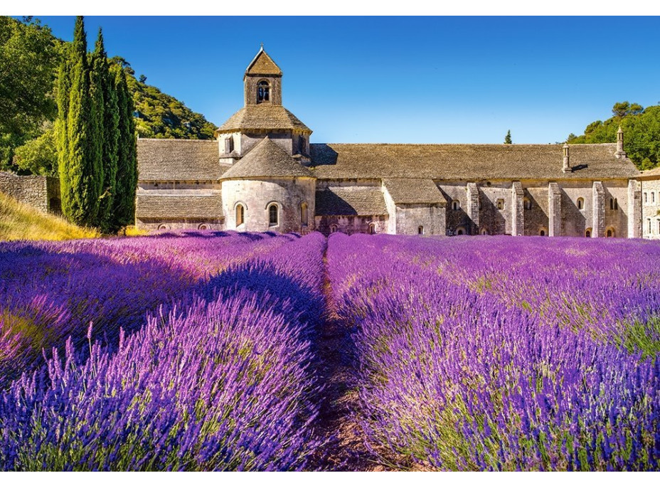 CASTORLAND Puzzle Levandulové pole v Provence, Francie 1000 dílků