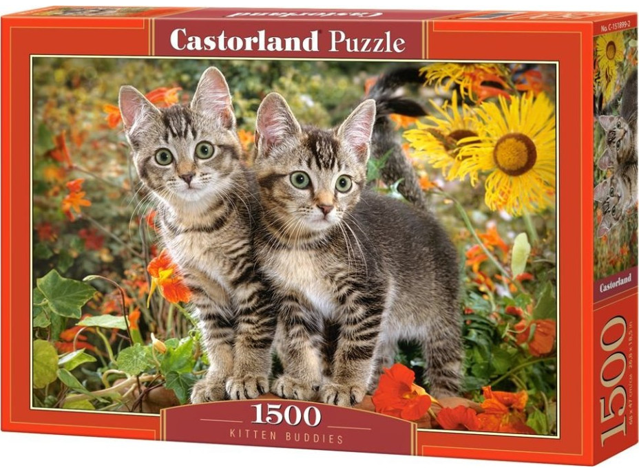 CASTORLAND Puzzle Kočičí přátelé 1500 dílků