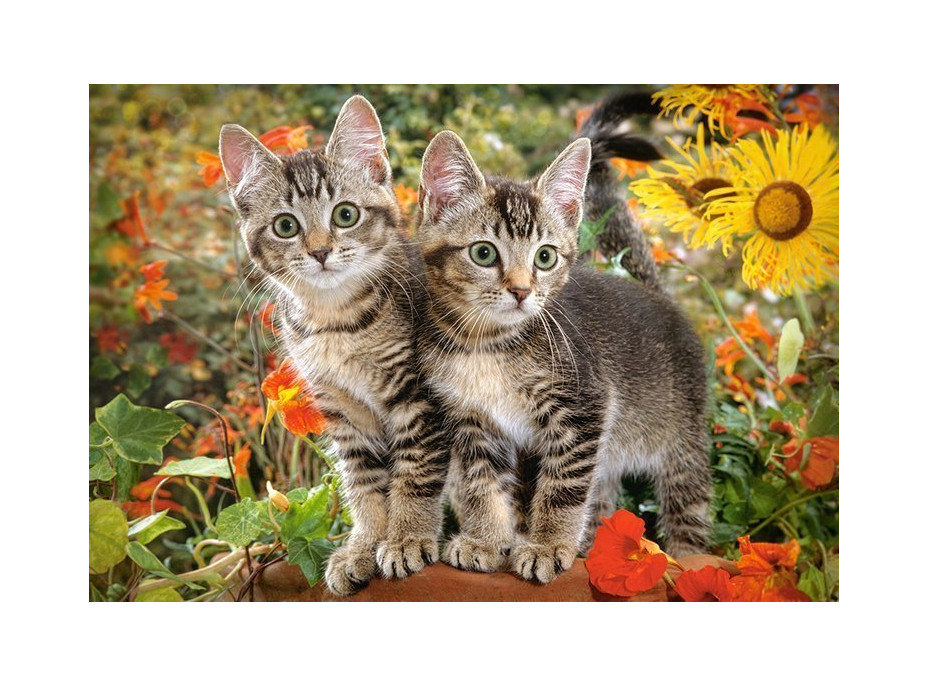 CASTORLAND Puzzle Kočičí přátelé 1500 dílků