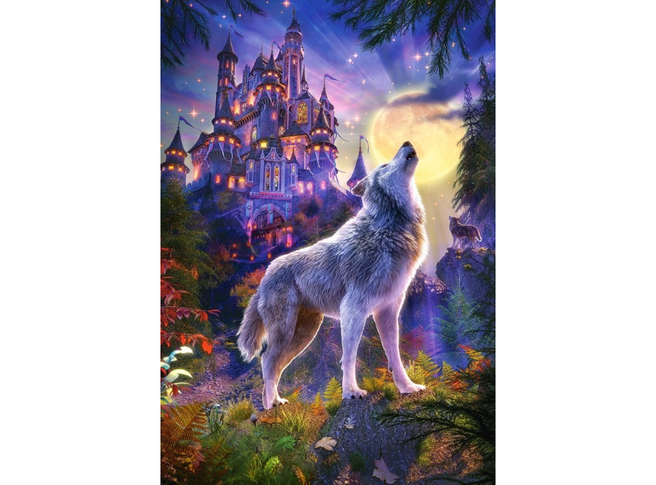 CASTORLAND Puzzle Vlčí zámek 1000 dílků