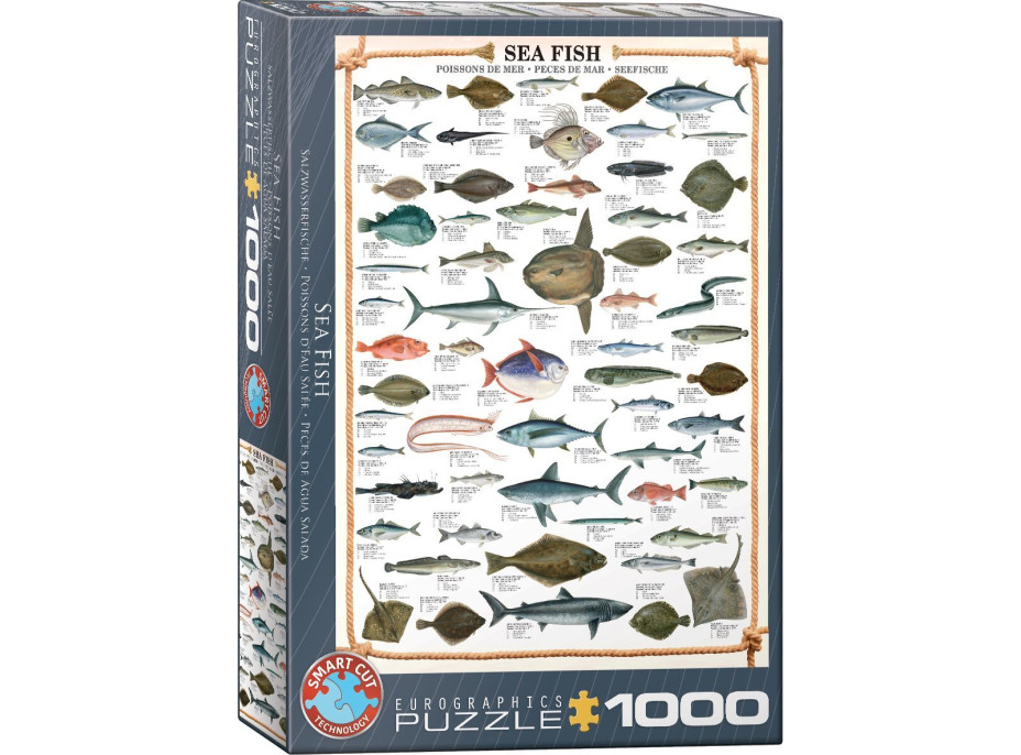 EUROGRAPHICS Puzzle Mořské ryby 1000 dílků