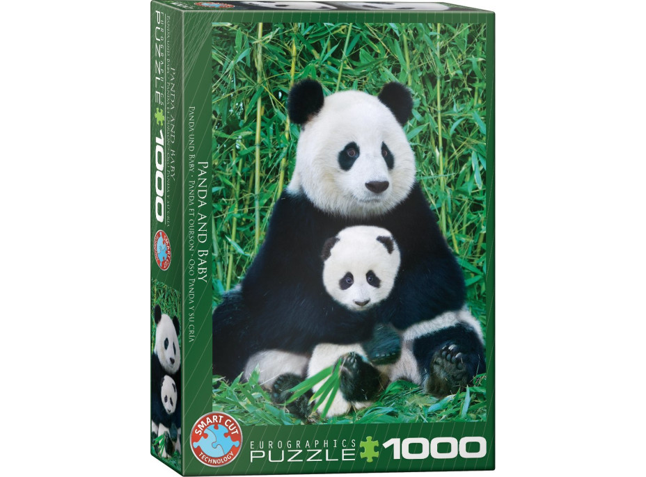 EUROGRAPHICS Puzzle Panda a mládě 1000 dílků