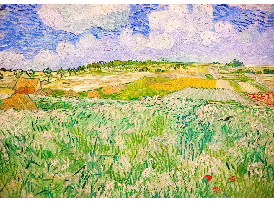 ENJOY Puzzle Vincent Van Gogh: Krajina v Auvers 1000 dílků