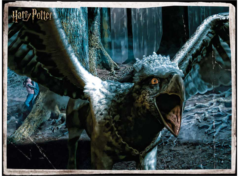 PRIME 3D Puzzle Harry Potter: Klofan 3D XL 300 dílků
