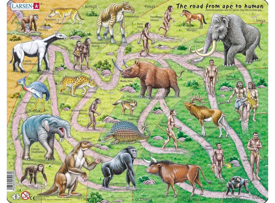 LARSEN Puzzle Od opice k člověku (anglicky) 83 dílků