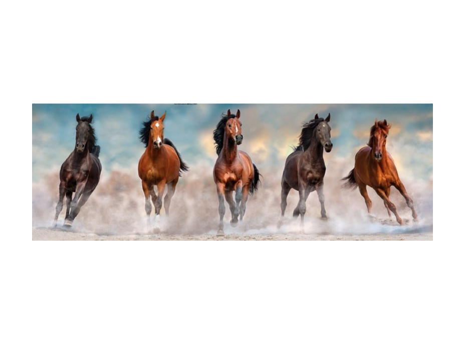 CLEMENTONI Panoramatické puzzle Koně 1000 dílků