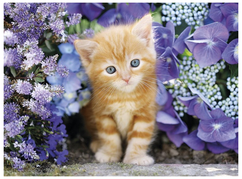 CLEMENTONI Puzzle Zrzavé kotě v květinách 500 dílků