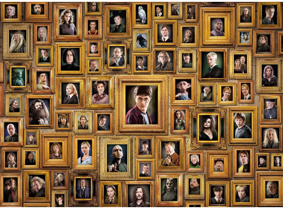 CLEMENTONI Puzzle Impossible: Harry Potter 1000 dílků