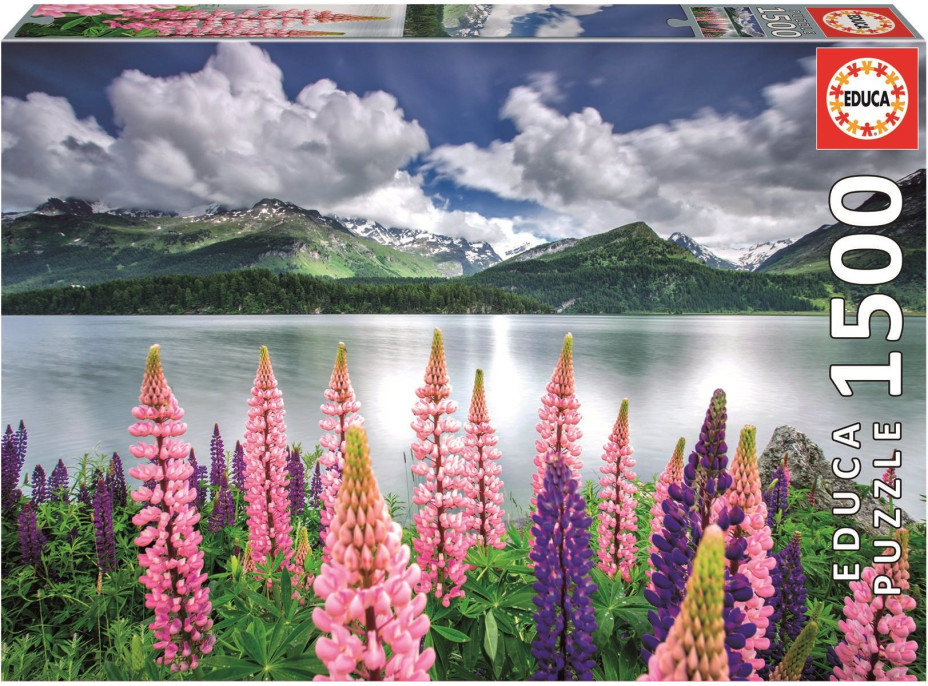 EDUCA Puzzle Lupiny na břehu jezera Sils, Švýcarsko 1500 dílků