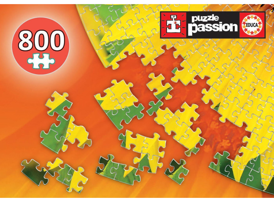 EDUCA Kulaté puzzle Slunečnice 800 dílků