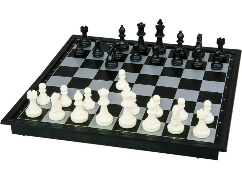 DINO Magnetické šachy