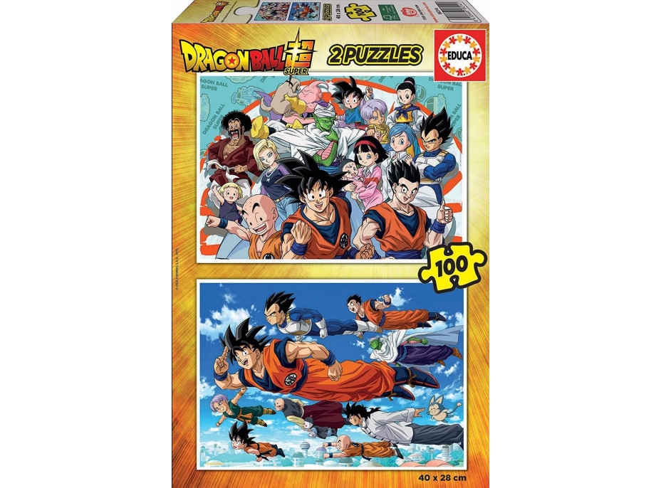 EDUCA Puzzle Dragon Ball Super 2x100 dílků