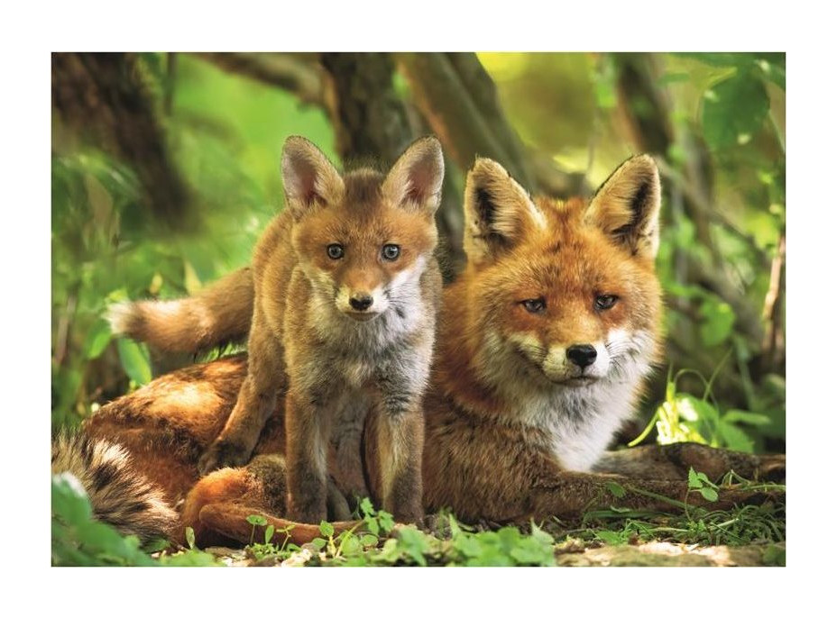 DINO Puzzle Liška s mláďátkem XL 300 dílků